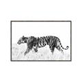 Picture of Tiger Path _GroupedProduct_Rectangle_Landscape_Photography _GroupedProduct_Rectangle_Landscape_Canvas_Framed_