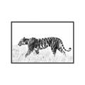 Picture of Tiger Path _GroupedProduct_Rectangle_Landscape_Photography _GroupedProduct_Rectangle_Landscape_Canvas_Framed_
