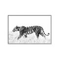 Picture of Tiger Path _GroupedProduct_Rectangle_Landscape_Photography _GroupedProduct_Rectangle_Landscape_Canvas_Framed_