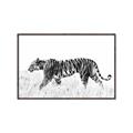 Picture of Tiger Path _GroupedProduct_Rectangle_Landscape_Photography _GroupedProduct_Rectangle_Landscape_Canvas_Framed_