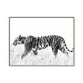 Picture of Tiger Path _GroupedProduct_Rectangle_Landscape_Photography _GroupedProduct_Rectangle_Landscape_Canvas_Framed_