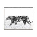Picture of Tiger Path _GroupedProduct_Rectangle_Landscape_Photography _GroupedProduct_Rectangle_Landscape_Canvas_Framed_