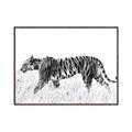 Picture of Tiger Path _GroupedProduct_Rectangle_Landscape_Photography _GroupedProduct_Rectangle_Landscape_Canvas_Framed_