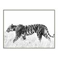 Picture of Tiger Path _GroupedProduct_Rectangle_Landscape_Photography _GroupedProduct_Rectangle_Landscape_Canvas_Framed_