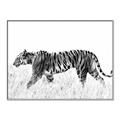 Picture of Tiger Path _GroupedProduct_Rectangle_Landscape_Photography _GroupedProduct_Rectangle_Landscape_Canvas_Framed_