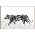 Picture of Tiger Path _GroupedProduct_Rectangle_Landscape_Photography _GroupedProduct_Rectangle_Landscape_Canvas_Framed_