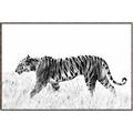 Picture of Tiger Path _GroupedProduct_Rectangle_Landscape_Photography _GroupedProduct_Rectangle_Landscape_Canvas_Framed_