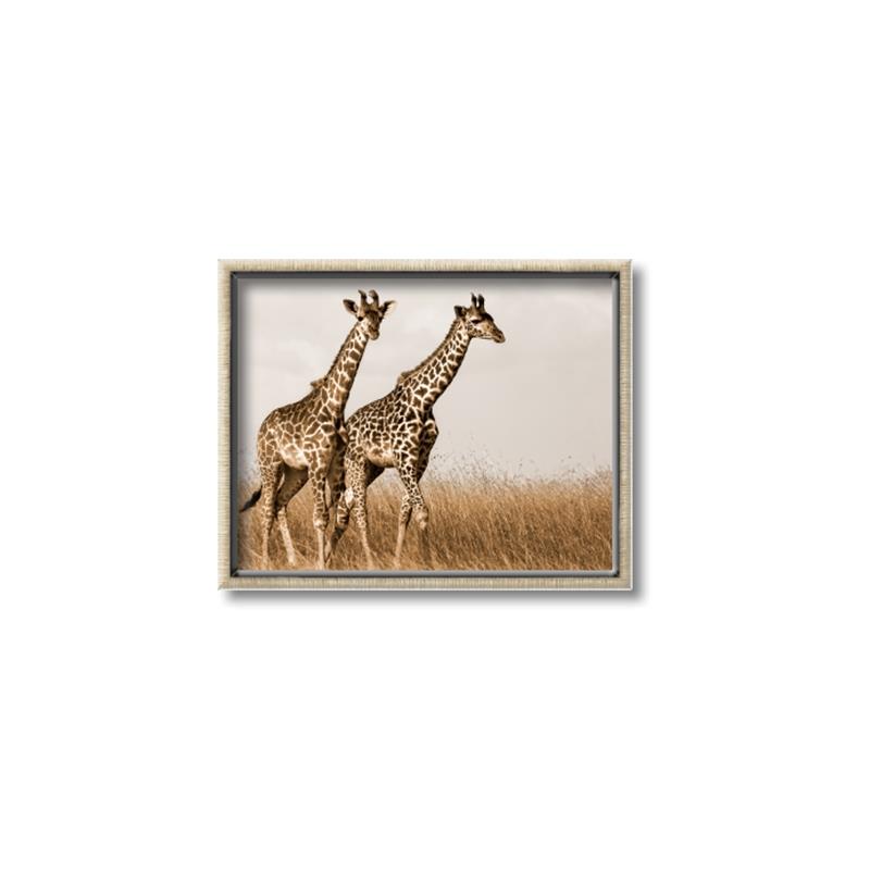 Picture of Twice as Tall _GroupedProduct_Rectangle_Landscape_Photography _GroupedProduct_Rectangle_Landscape_Canvas_Framed_