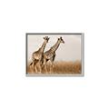 Picture of Twice as Tall _GroupedProduct_Rectangle_Landscape_Photography _GroupedProduct_Rectangle_Landscape_Canvas_Framed_