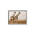 Picture of Twice as Tall _GroupedProduct_Rectangle_Landscape_Photography _GroupedProduct_Rectangle_Landscape_Canvas_Framed_