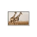 Picture of Twice as Tall _GroupedProduct_Rectangle_Landscape_Photography _GroupedProduct_Rectangle_Landscape_Canvas_Framed_