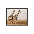 Picture of Twice as Tall _GroupedProduct_Rectangle_Landscape_Photography _GroupedProduct_Rectangle_Landscape_Canvas_Framed_