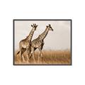 Picture of Twice as Tall _GroupedProduct_Rectangle_Landscape_Photography _GroupedProduct_Rectangle_Landscape_Canvas_Framed_