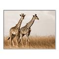 Picture of Twice as Tall _GroupedProduct_Rectangle_Landscape_Photography _GroupedProduct_Rectangle_Landscape_Canvas_Framed_