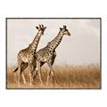 Picture of Twice as Tall _GroupedProduct_Rectangle_Landscape_Photography _GroupedProduct_Rectangle_Landscape_Canvas_Framed_
