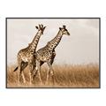 Picture of Twice as Tall _GroupedProduct_Rectangle_Landscape_Photography _GroupedProduct_Rectangle_Landscape_Canvas_Framed_
