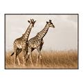 Picture of Twice as Tall _GroupedProduct_Rectangle_Landscape_Photography _GroupedProduct_Rectangle_Landscape_Canvas_Framed_