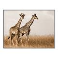 Picture of Twice as Tall _GroupedProduct_Rectangle_Landscape_Photography _GroupedProduct_Rectangle_Landscape_Canvas_Framed_