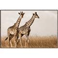 Picture of Twice as Tall _GroupedProduct_Rectangle_Landscape_Photography _GroupedProduct_Rectangle_Landscape_Canvas_Framed_