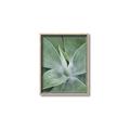 Picture of Up Close & Green _GroupedProduct_Rectangle_Portrait_Photography _GroupedProduct_Rectangle_Portrait_Canvas_Framed_