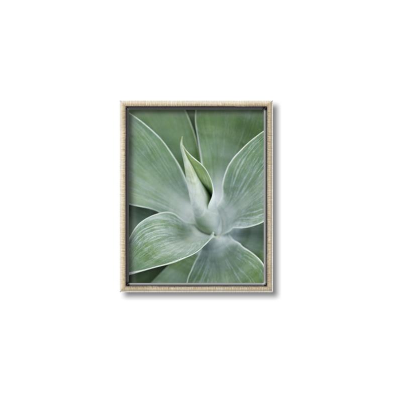 Picture of Up Close & Green _GroupedProduct_Rectangle_Portrait_Photography _GroupedProduct_Rectangle_Portrait_Canvas_Framed_