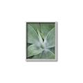 Picture of Up Close & Green _GroupedProduct_Rectangle_Portrait_Photography _GroupedProduct_Rectangle_Portrait_Canvas_Framed_