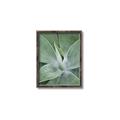 Picture of Up Close & Green _GroupedProduct_Rectangle_Portrait_Photography _GroupedProduct_Rectangle_Portrait_Canvas_Framed_