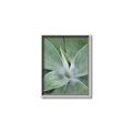 Picture of Up Close & Green _GroupedProduct_Rectangle_Portrait_Photography _GroupedProduct_Rectangle_Portrait_Canvas_Framed_