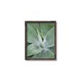 Picture of Up Close & Green _GroupedProduct_Rectangle_Portrait_Photography _GroupedProduct_Rectangle_Portrait_Canvas_Framed_