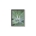 Picture of Up Close & Green _GroupedProduct_Rectangle_Portrait_Photography _GroupedProduct_Rectangle_Portrait_Canvas_Framed_