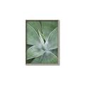 Picture of Up Close & Green _GroupedProduct_Rectangle_Portrait_Photography _GroupedProduct_Rectangle_Portrait_Canvas_Framed_