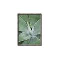 Picture of Up Close & Green _GroupedProduct_Rectangle_Portrait_Photography _GroupedProduct_Rectangle_Portrait_Canvas_Framed_