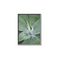 Picture of Up Close & Green _GroupedProduct_Rectangle_Portrait_Photography _GroupedProduct_Rectangle_Portrait_Canvas_Framed_