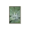 Picture of Up Close & Green _GroupedProduct_Rectangle_Portrait_Photography _GroupedProduct_Rectangle_Portrait_Canvas_Framed_