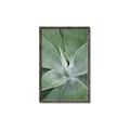 Picture of Up Close & Green _GroupedProduct_Rectangle_Portrait_Photography _GroupedProduct_Rectangle_Portrait_Canvas_Framed_