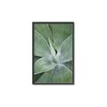 Picture of Up Close & Green _GroupedProduct_Rectangle_Portrait_Photography _GroupedProduct_Rectangle_Portrait_Canvas_Framed_