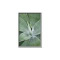 Picture of Up Close & Green _GroupedProduct_Rectangle_Portrait_Photography _GroupedProduct_Rectangle_Portrait_Canvas_Framed_
