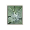Picture of Up Close & Green _GroupedProduct_Rectangle_Portrait_Photography _GroupedProduct_Rectangle_Portrait_Canvas_Framed_