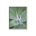 Picture of Up Close & Green _GroupedProduct_Rectangle_Portrait_Photography _GroupedProduct_Rectangle_Portrait_Canvas_Framed_
