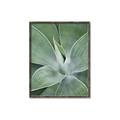 Picture of Up Close & Green _GroupedProduct_Rectangle_Portrait_Photography _GroupedProduct_Rectangle_Portrait_Canvas_Framed_
