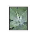 Picture of Up Close & Green _GroupedProduct_Rectangle_Portrait_Photography _GroupedProduct_Rectangle_Portrait_Canvas_Framed_