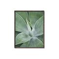 Picture of Up Close & Green _GroupedProduct_Rectangle_Portrait_Photography _GroupedProduct_Rectangle_Portrait_Canvas_Framed_
