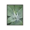 Picture of Up Close & Green _GroupedProduct_Rectangle_Portrait_Photography _GroupedProduct_Rectangle_Portrait_Canvas_Framed_