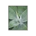 Picture of Up Close & Green _GroupedProduct_Rectangle_Portrait_Photography _GroupedProduct_Rectangle_Portrait_Canvas_Framed_