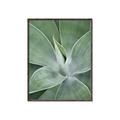 Picture of Up Close & Green _GroupedProduct_Rectangle_Portrait_Photography _GroupedProduct_Rectangle_Portrait_Canvas_Framed_
