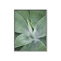 Picture of Up Close & Green _GroupedProduct_Rectangle_Portrait_Photography _GroupedProduct_Rectangle_Portrait_Canvas_Framed_