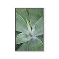 Picture of Up Close & Green _GroupedProduct_Rectangle_Portrait_Photography _GroupedProduct_Rectangle_Portrait_Canvas_Framed_
