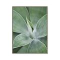 Picture of Up Close & Green _GroupedProduct_Rectangle_Portrait_Photography _GroupedProduct_Rectangle_Portrait_Canvas_Framed_