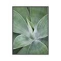 Picture of Up Close & Green _GroupedProduct_Rectangle_Portrait_Photography _GroupedProduct_Rectangle_Portrait_Canvas_Framed_