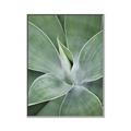 Picture of Up Close & Green _GroupedProduct_Rectangle_Portrait_Photography _GroupedProduct_Rectangle_Portrait_Canvas_Framed_